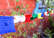 Tibetan Buddhist Windhorse Prayer Flags - nepacrafts