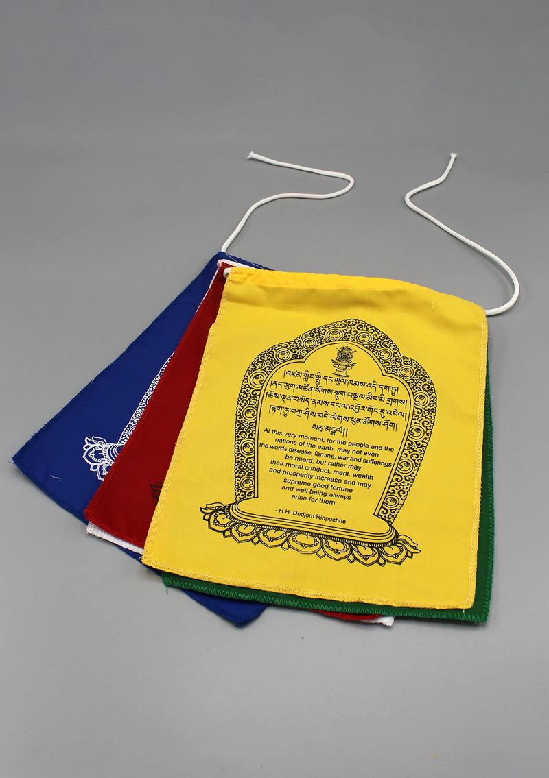 World Peace Flags-Hemmed Mini Flags
