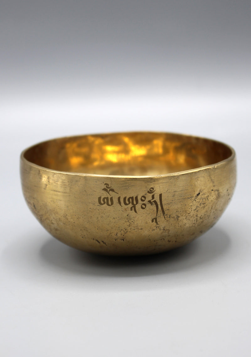 Medicine Buddha Carving Singing Bowl - nepacrafts