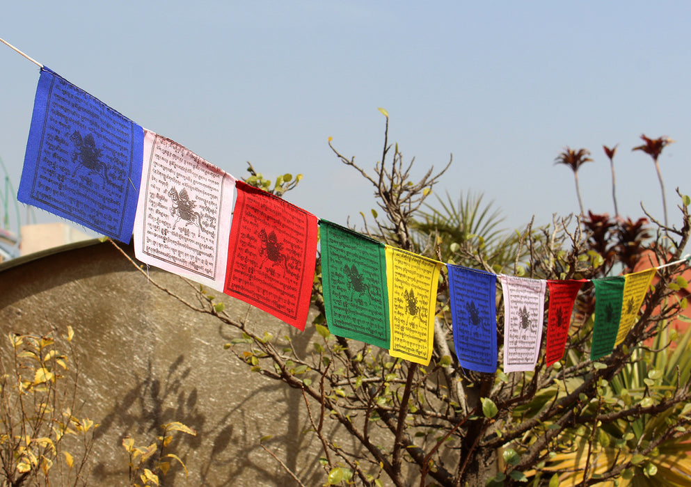 Set of 5 Mini Windhorse Tibetan Prayer Flags