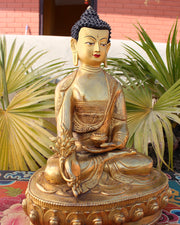 One of a Kind 13 Inch Healing Buddha Statue BST307 - nepacrafts